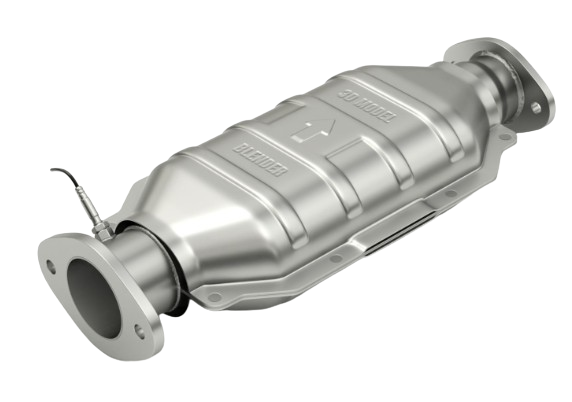 Cat-removebg-preview